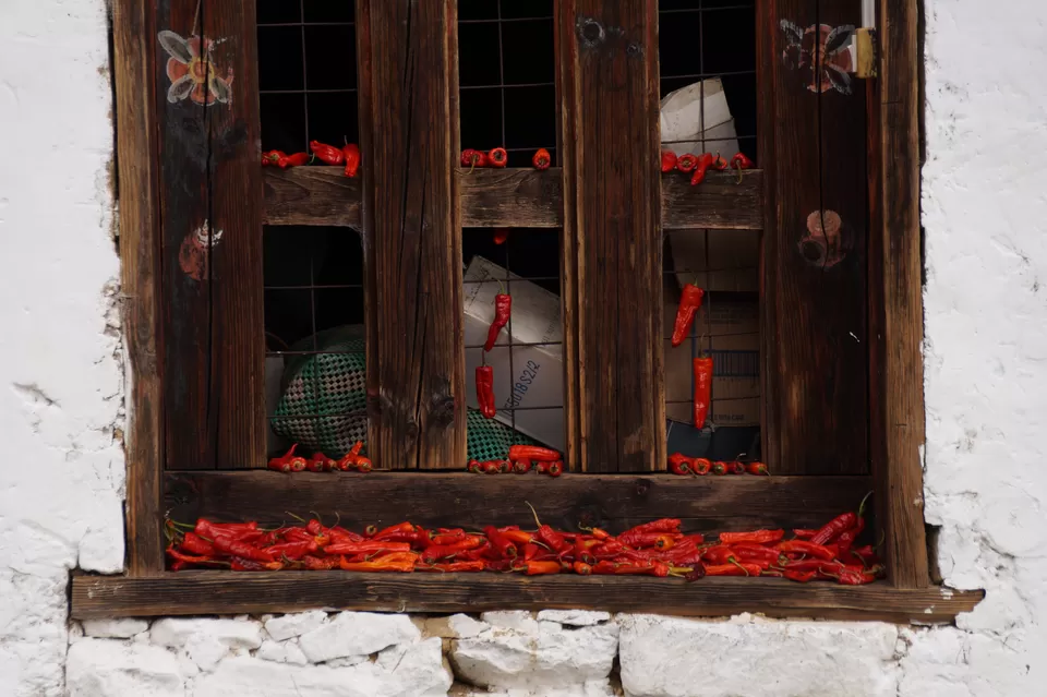 Photo of Punakha Dzong, Punakha, Bhutan by Shivangi Jain