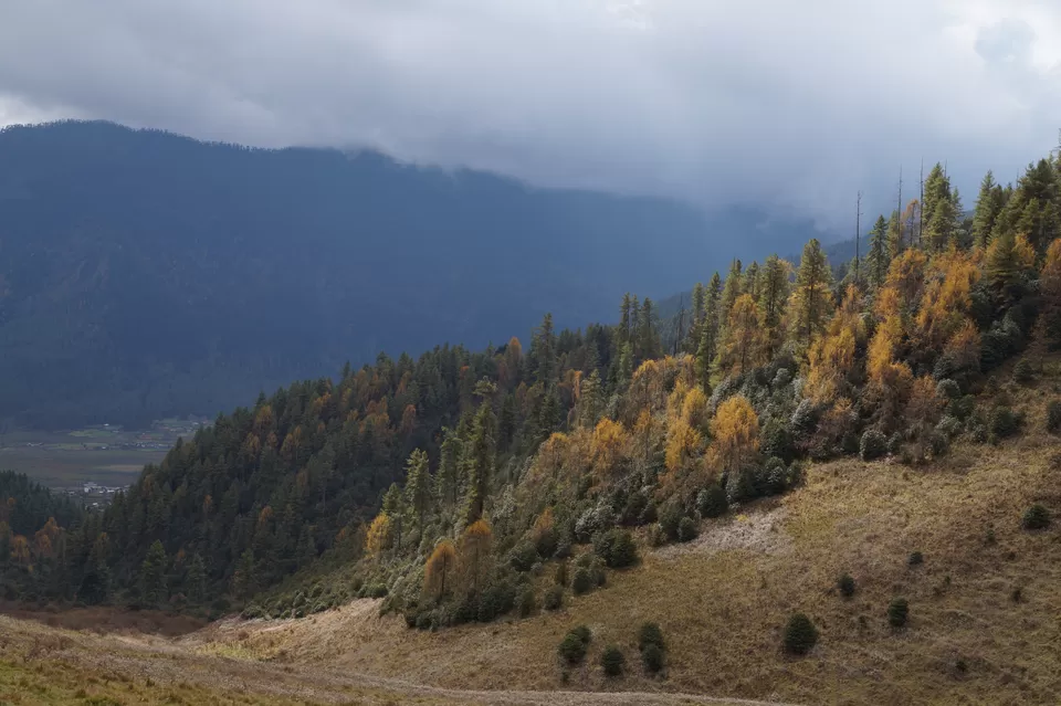 Photo of Phobjikha Valley, Wangdue Phodrang, Bhutan by Shivangi Jain