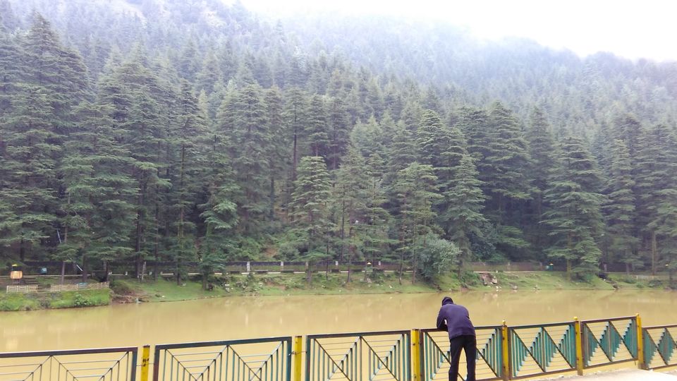 Photo of Dal Lake-Mcleod Ganj, Forsyth Ganj, Jangal Reserve Banoi, Himachal Pradesh, India by Lost Lama