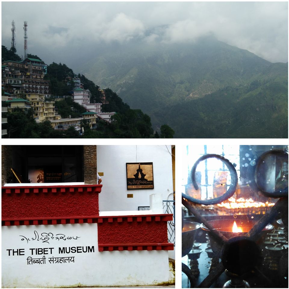 Photo of Namgyal Monastery, McLeod Ganj, Himachal Pradesh, India by Lost Lama