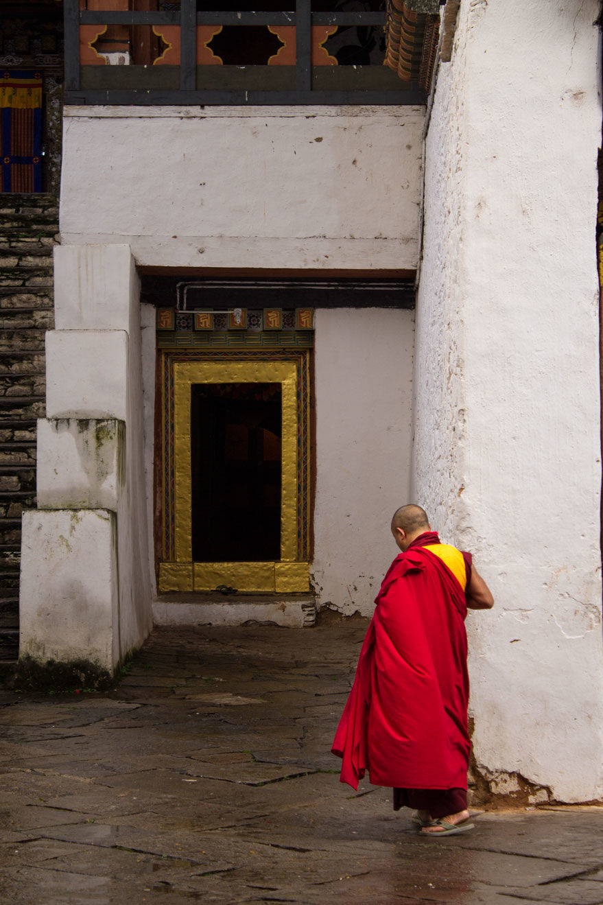 Photo of Bhutan: Head in the clouds 7/26 by sonia malani