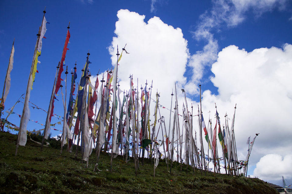 Photo of Bhutan: Head in the clouds 14/26 by sonia malani