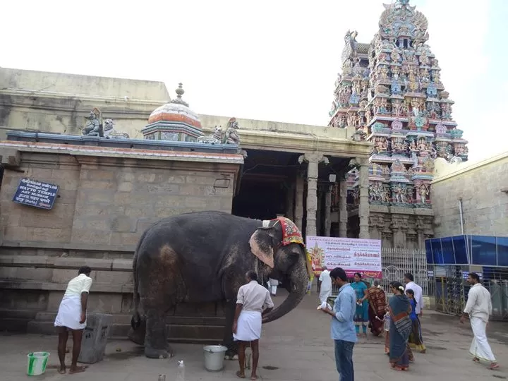 Photo of Madurai, Tamil Nadu, India by Bharath Adapa