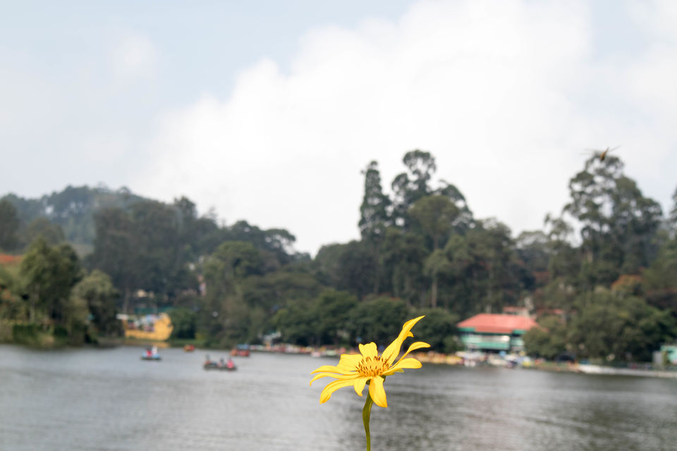Photo of A Weekend Getaway from Bangalore Yercaud, Tamilnadu by Akash Maurya