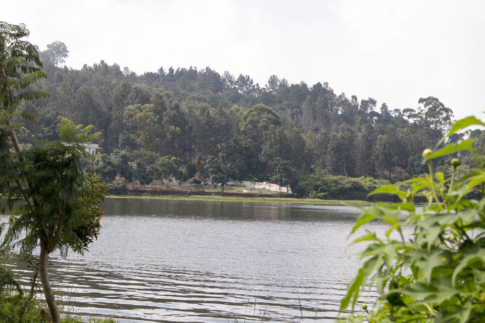 Photo of A Weekend Getaway from Bangalore Yercaud, Tamilnadu by Akash Maurya