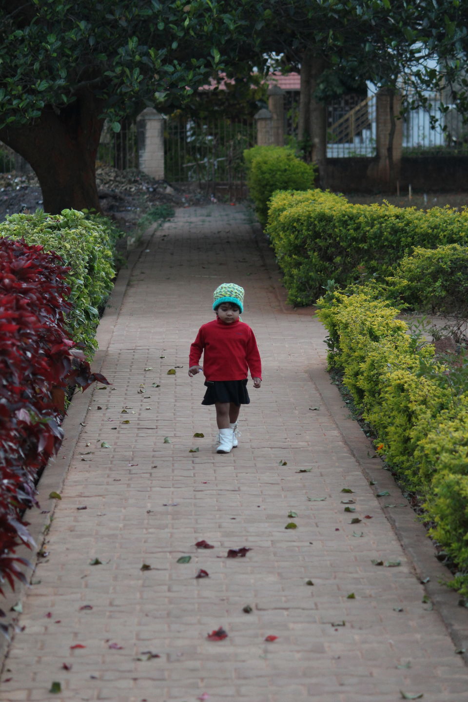 Photo of Yelagiri - Weekend Getaway From Bangalore by Akash Maurya
