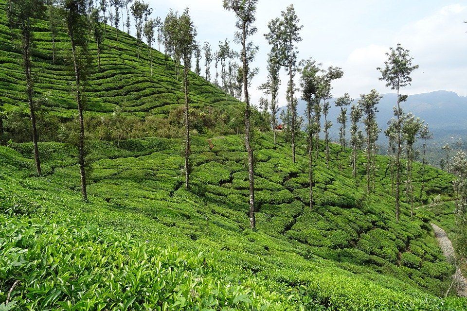 Photo of Best Weekend Places From Bangalore 4/6 by BloggersWithoutBorders