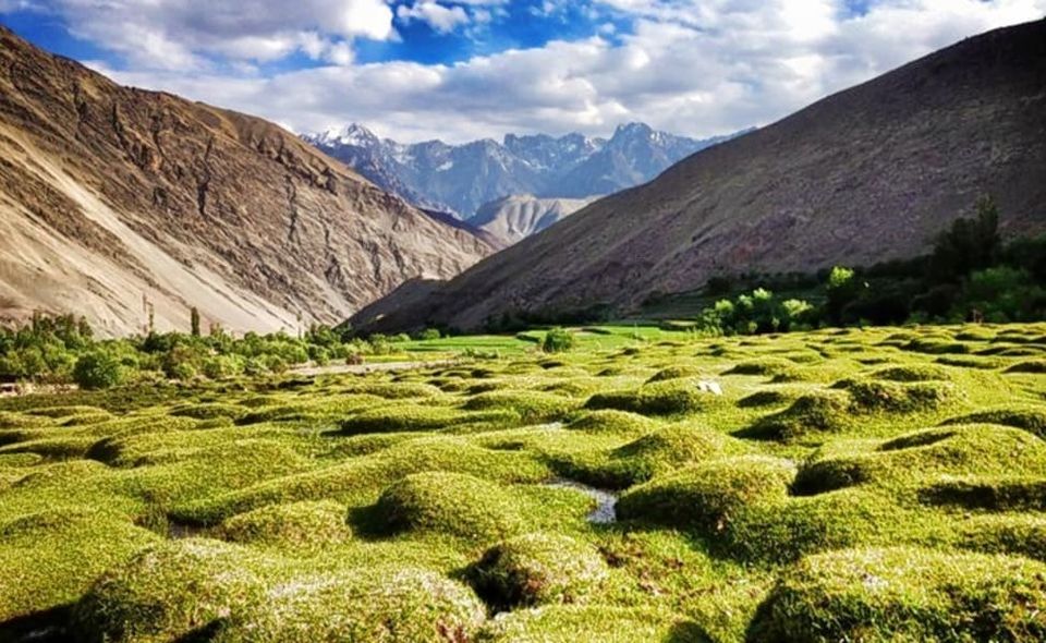 Photo of Off Beat and Unique Experiences In Ladakh 3/6 by BloggersWithoutBorders