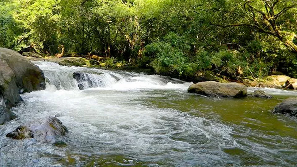Photo of Thommankuthu Waterfalls, Idukki, Kerala, India by Bloggers Without Borders - (BWB)