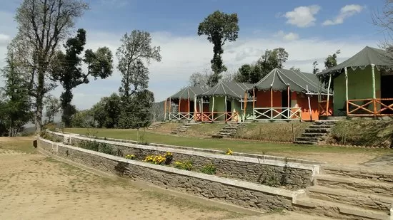 Photo of Ezzenza Jungle Livinn, Chail, Kandaghat-Chail-Kufri Road, Chail, Himachal Pradesh, India by Bloggers Without Borders - (BWB)