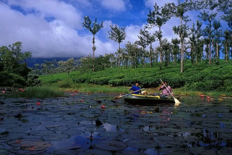 Photo of Nelliyampathy, Kerala, India by Bloggers Without Borders - (BWB)