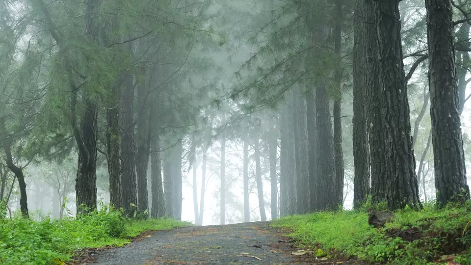 Photo of Vagamon, Kerala, India by Bloggers Without Borders - (BWB)