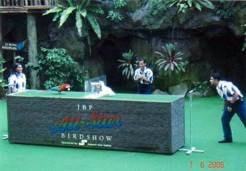 Photo of Jurong Bird Park Singapore by Ruchi Jain