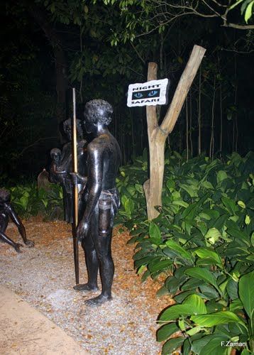 Photo of Night Safari Singapore by Ruchi Jain