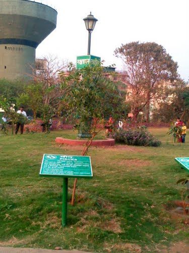 Photo of Nerul, Navi Mumbai, Maharashtra, India by Ruchi Jain