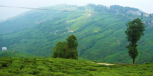Photo of Darjeeling Rangeet Valley Passenger Ropeway, Darjeeling, West Bengal, India by Ruchi Jain