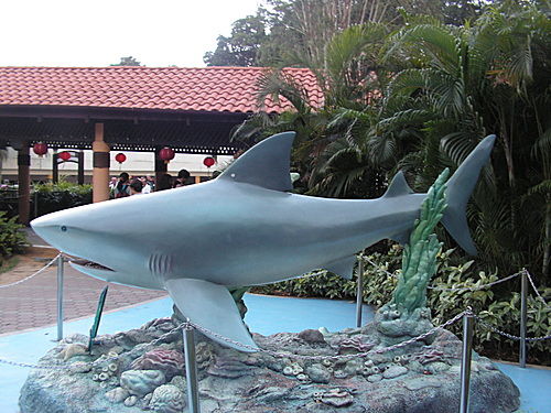 Photo of Underwater World Singapore by Ruchi Jain