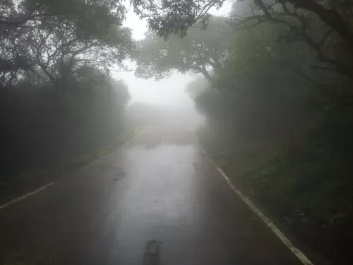 Photo of Elephant’s Head Point, Satara, Maharashtra, India by Ruchi Jain