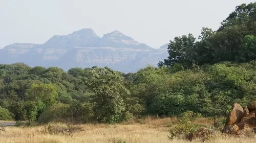 Photo of Tiger Point, Dattawadi Road, Lonavala, Maharashtra, India by Ruchi Jain