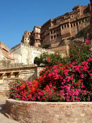 Photo of Mehrangarh Fort, Jodhpur, Rajasthan, India by Ruchi Jain