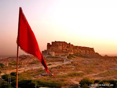 Photo of FLYING FOX JODHPUR, Jodhpur, Rajasthan, India by Ruchi Jain