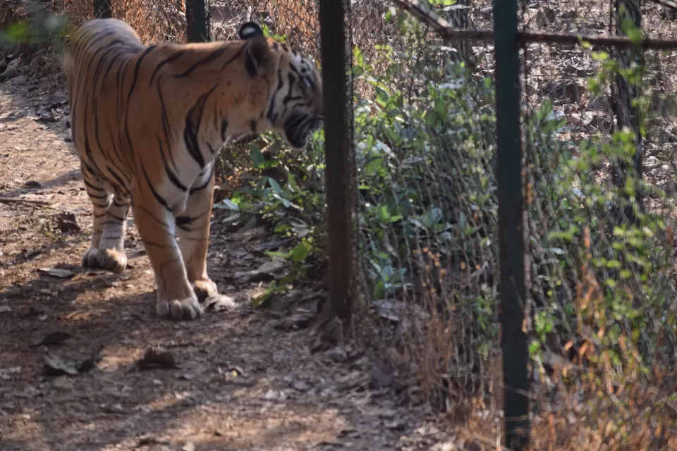 Photo of Sanjay Gandhi National Park, Borivali East, Mumbai, Maharashtra 400066, India by Daya Ragunathan