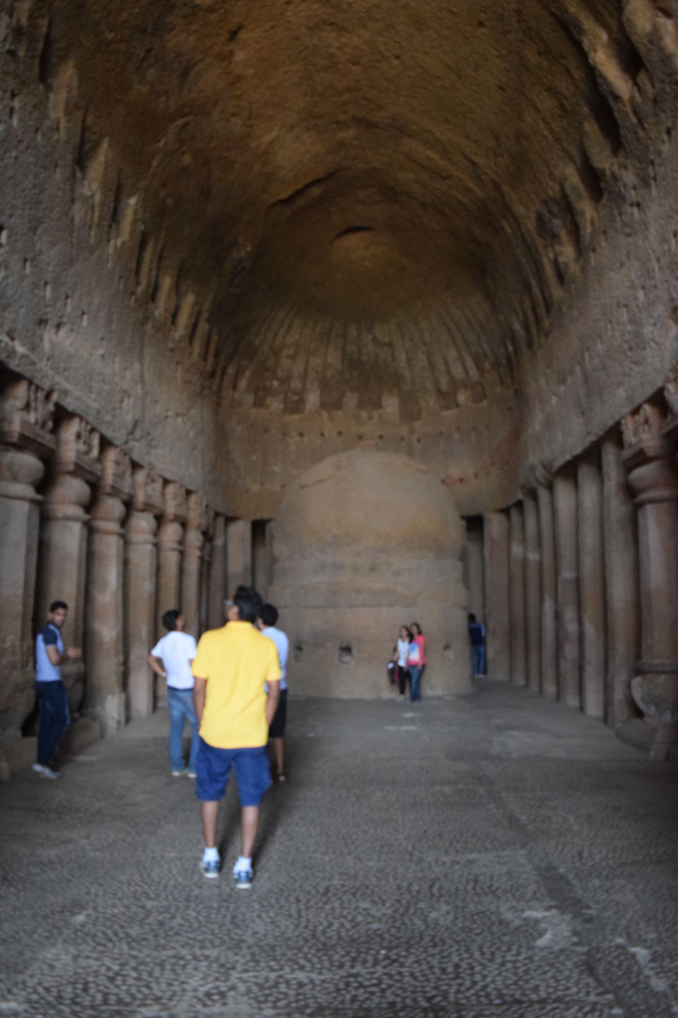 Photo of Bombay Boscage - A day at Sanjay Gandhi National Park 5/11 by Daya Ragunathan
