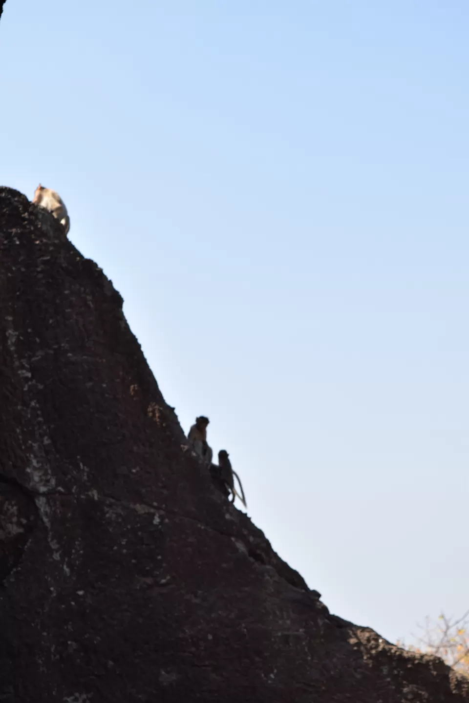 Photo of Kanheri Caves, Mumbai, Maharashtra 400101, India by Daya Ragunathan