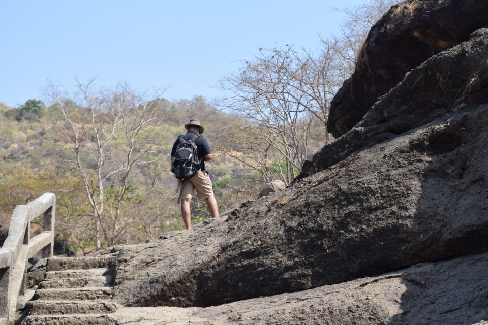 Photo of Bombay Boscage - A day at Sanjay Gandhi National Park 11/11 by Daya Ragunathan