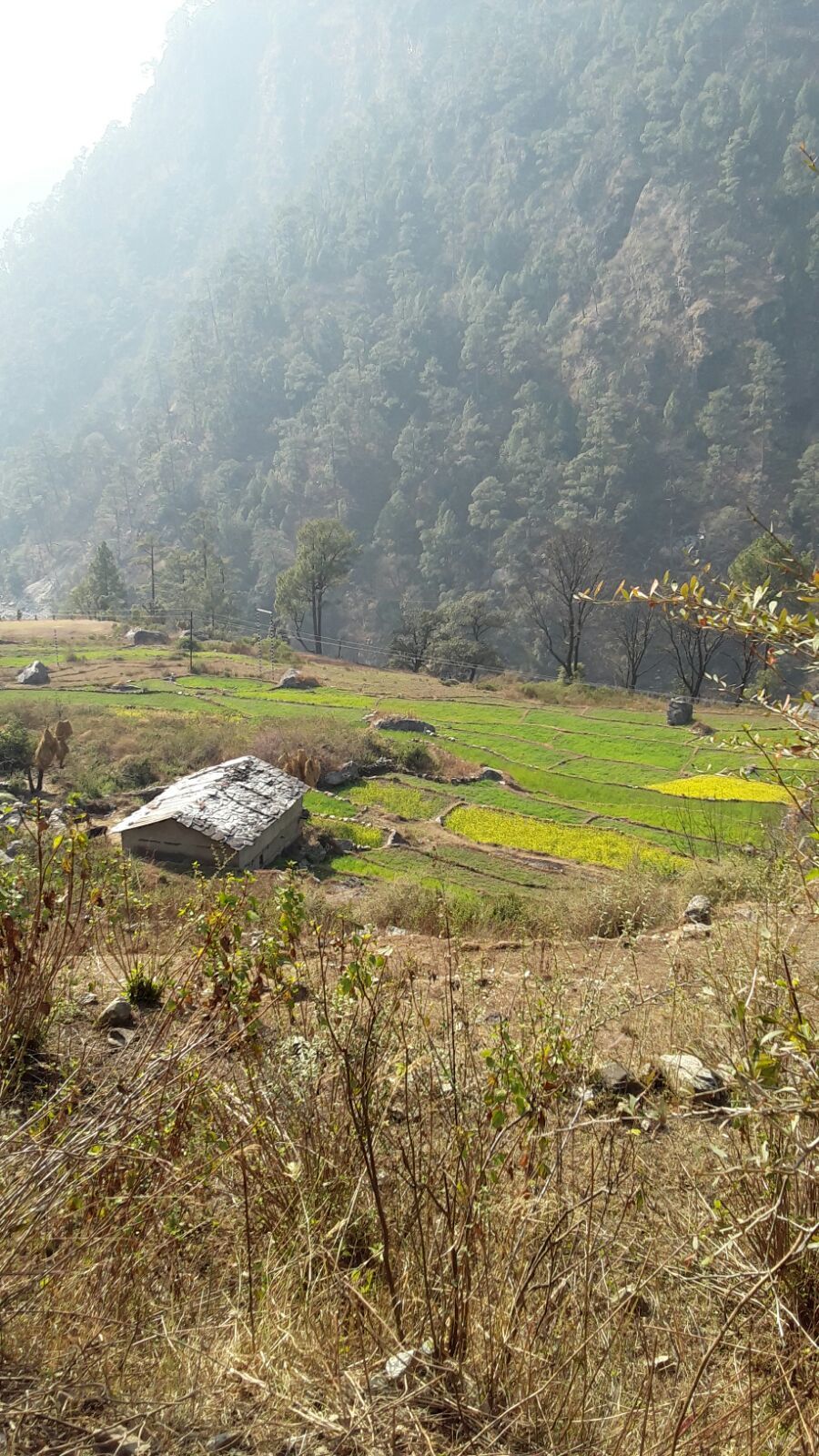 Photo of A solo venture to Kuflon, Uttarkashi 2/5 by yamini