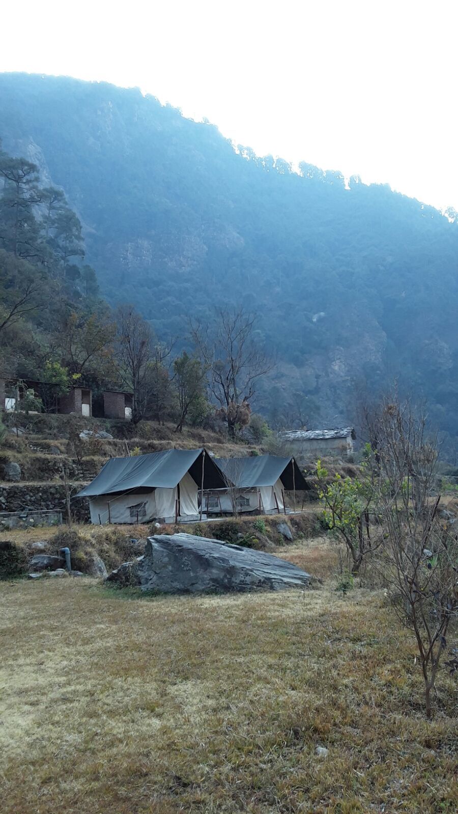 Photo of A solo venture to Kuflon, Uttarkashi 3/5 by yamini