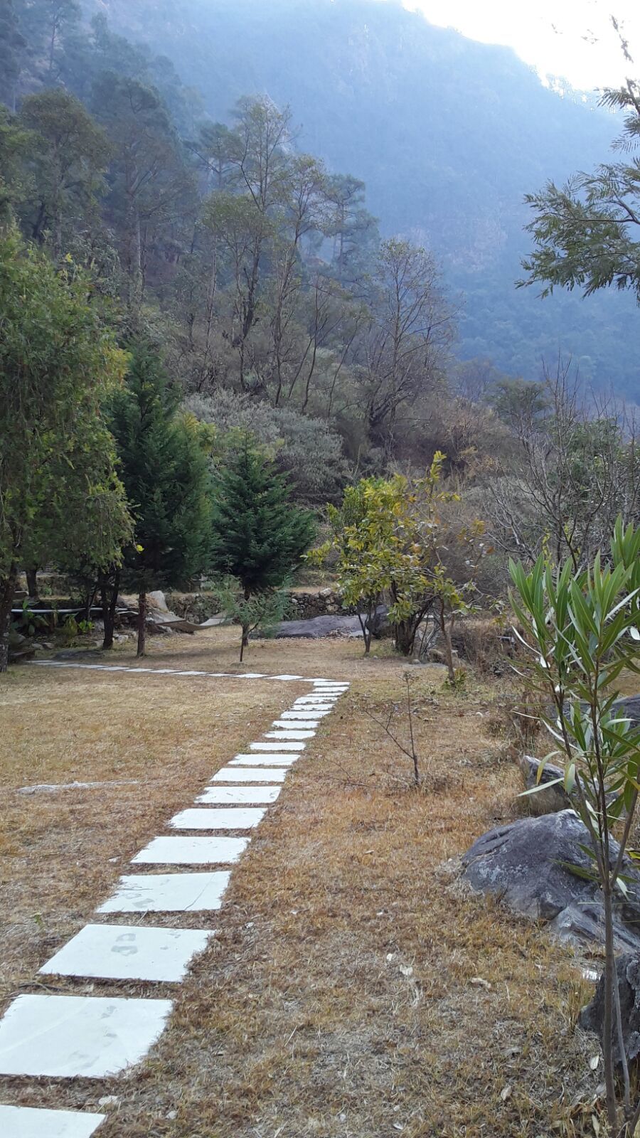 Photo of A solo venture to Kuflon, Uttarkashi 4/5 by yamini