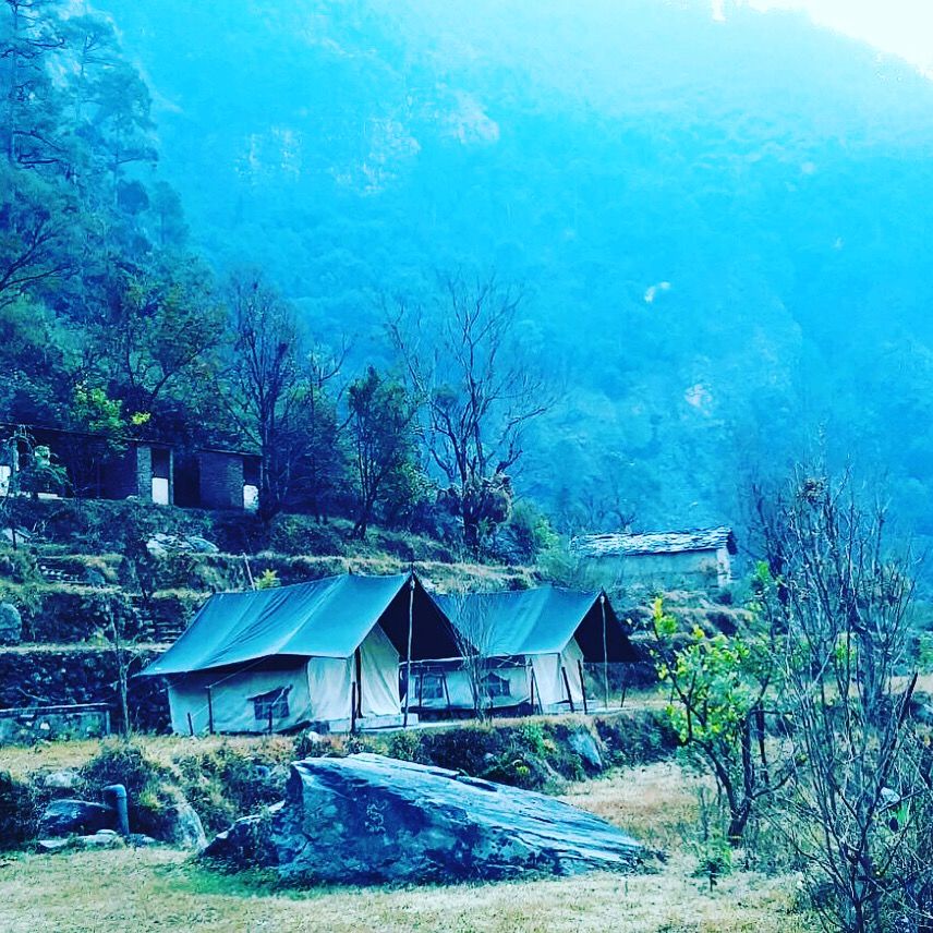 Photo of A solo venture to Kuflon, Uttarkashi 5/5 by yamini