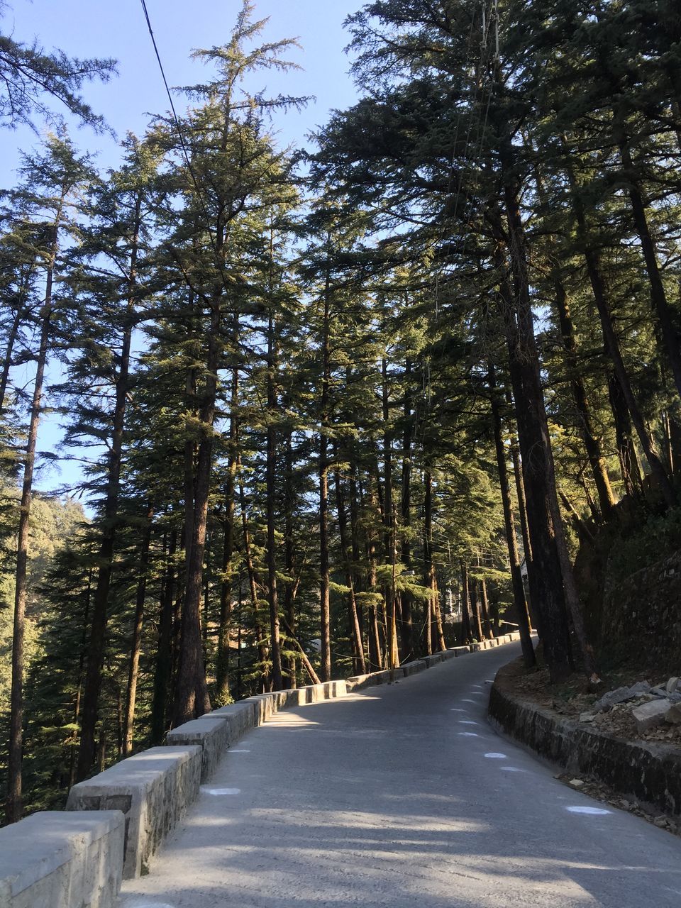 Photo of From the land of Ruskin Bond 2/5 by yamini