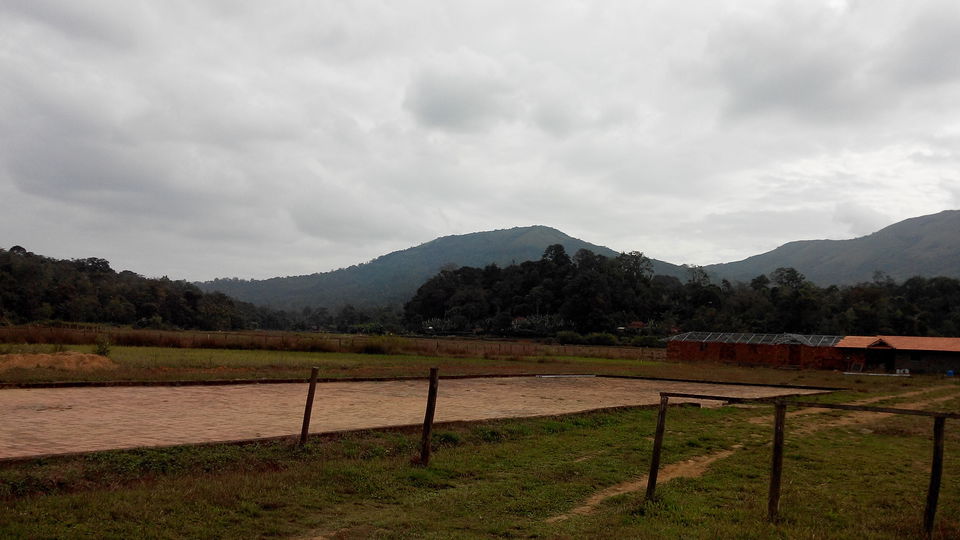 Photo of The Coorg trails 5/14 by yamini