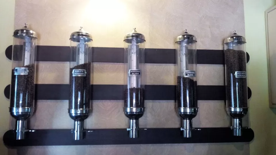 Photo of Raintree Restaurants, Madikeri Town Hall, Madikeri, Karnataka, India by yamini