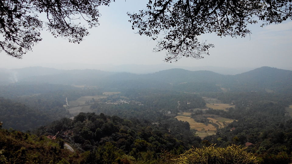 Photo of The Coorg trails 9/14 by yamini