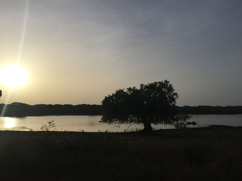 Photo of Trip tailing 5 spots in South SriLanka 5/21 by yamini