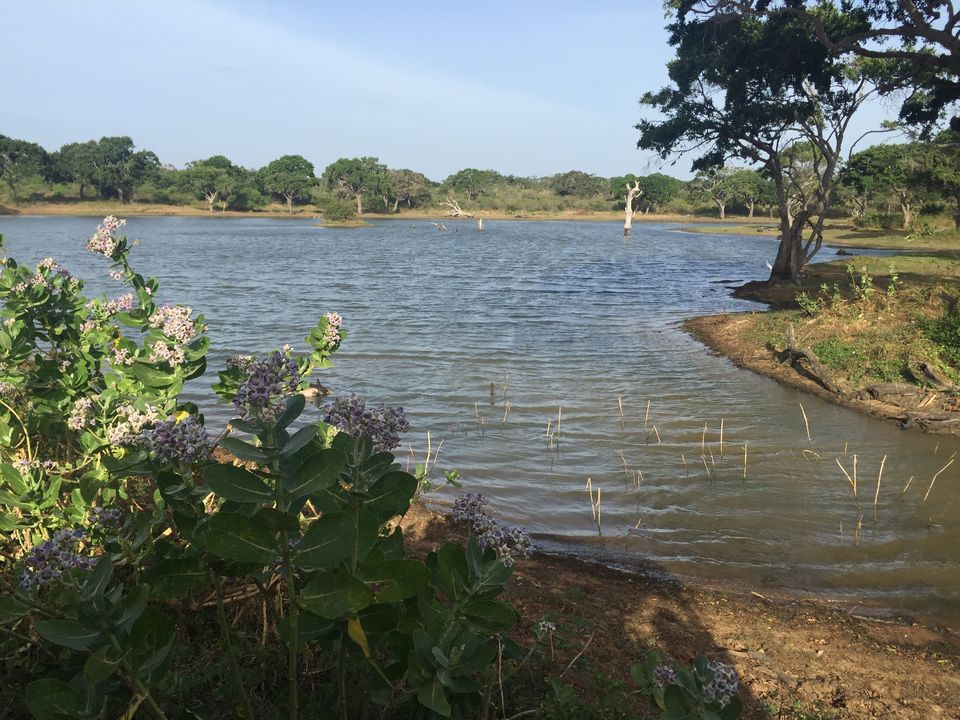 Photo of Trip tailing 5 spots in South SriLanka 9/21 by yamini