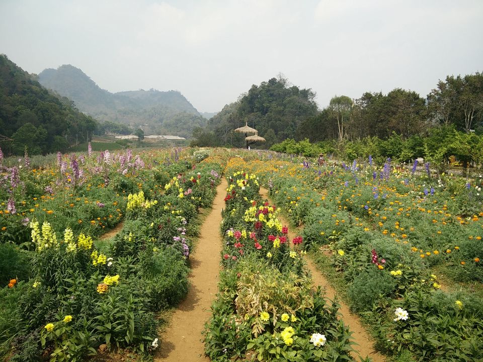 Photo of Unseen Thailand: Going Solo in Chiang Mai by Aditi Gupta