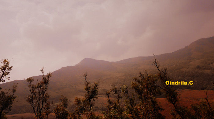 Photo of Got a Gang? Get on Bike! (- To Coffee Land of Karnataka) 21/30 by TippytoeTraveltales