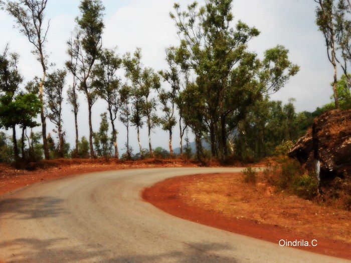 Photo of Got a Gang? Get on Bike! (- To Coffee Land of Karnataka) 22/30 by TippytoeTraveltales