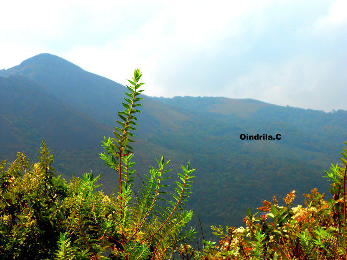 Photo of Got a Gang? Get on Bike! (- To Coffee Land of Karnataka) 23/30 by TippytoeTraveltales