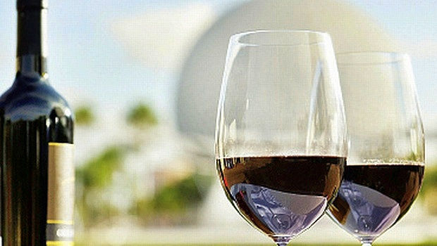 Photo of Into the Best Wine Tours of India:Let’s Swirl, Sniff and Sip! 2/31 by TippytoeTraveltales