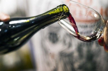 Photo of Into the Best Wine Tours of India:Let’s Swirl, Sniff and Sip! 3/31 by TippytoeTraveltales