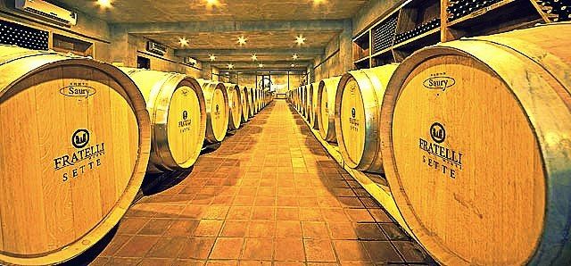 Photo of Into the Best Wine Tours of India:Let’s Swirl, Sniff and Sip! 6/31 by TippytoeTraveltales