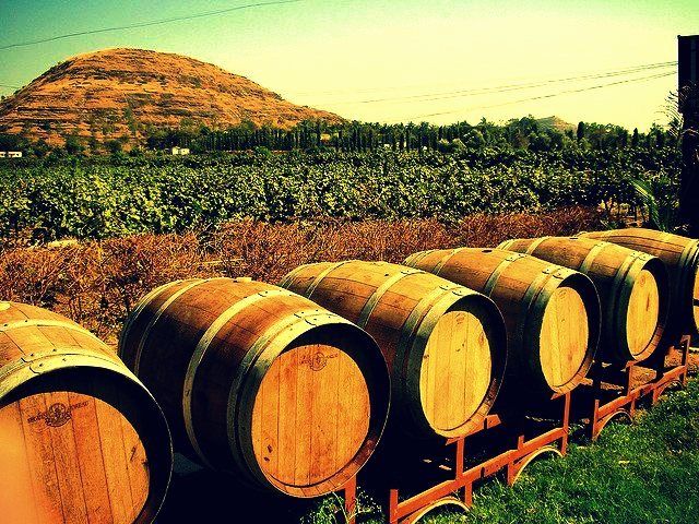 Photo of Into the Best Wine Tours of India:Let’s Swirl, Sniff and Sip! 15/31 by TippytoeTraveltales