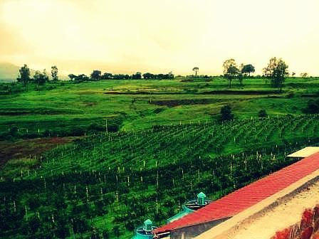 Photo of Into the Best Wine Tours of India:Let’s Swirl, Sniff and Sip! 17/31 by TippytoeTraveltales