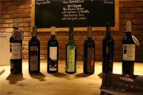 Photo of Into the Best Wine Tours of India:Let’s Swirl, Sniff and Sip! 19/31 by TippytoeTraveltales