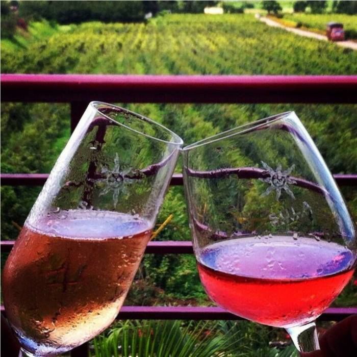 Photo of Into the Best Wine Tours of India:Let’s Swirl, Sniff and Sip! 22/31 by TippytoeTraveltales
